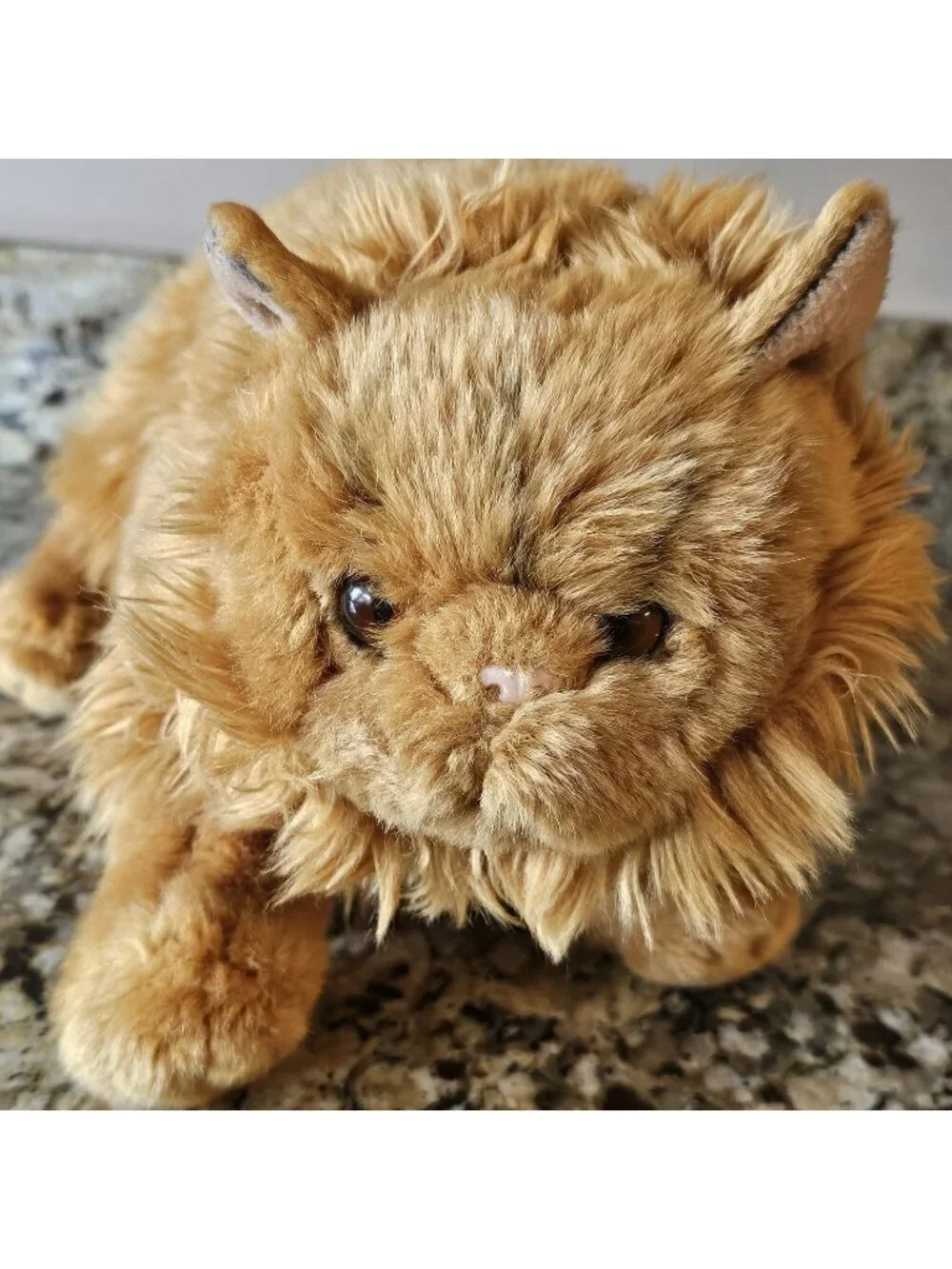 Wizarding World Harry Potter Hermione's Cat Crookshanks Universal Studios